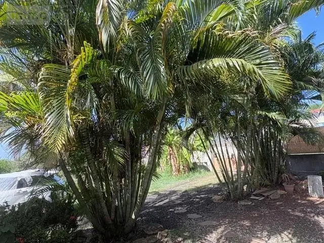 Maison a vendre Le Vauclin 97280 Martinique 972 124 m2 294000 euros 97204-406 026