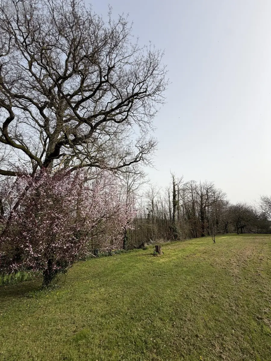 Maison a vendre Montrevault-sur-Èvre 49600 Maine-et-Loire 49 250 m2 9 pièces 354900 euros 49055-89 006