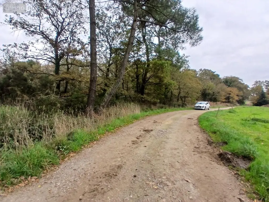 Terrains de loisirs bois etangs a vendre Allaire 56350 Morbihan 56 7500 euros 56084-354 005