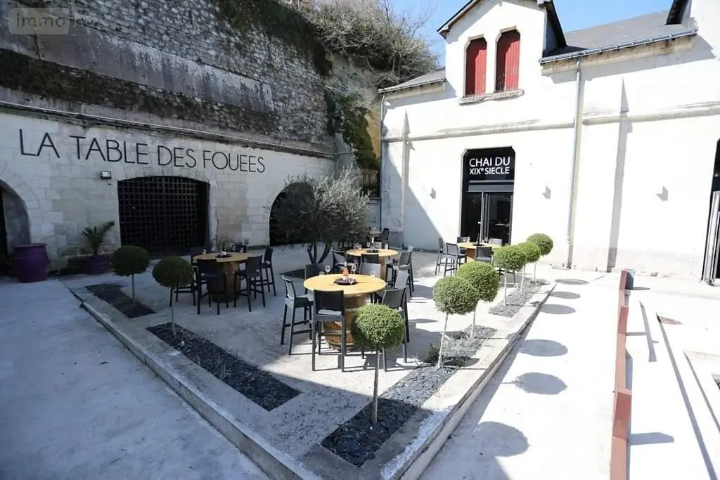 Divers a vendre Saumur 49400 Maine-et-Loire 49 858 m2 15 pièces 886000 euros 2018213a 003