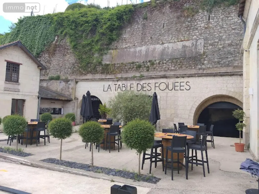 Divers a vendre Saumur 49400 Maine-et-Loire 49 858 m2 15 pièces 886000 euros 2018213a 004