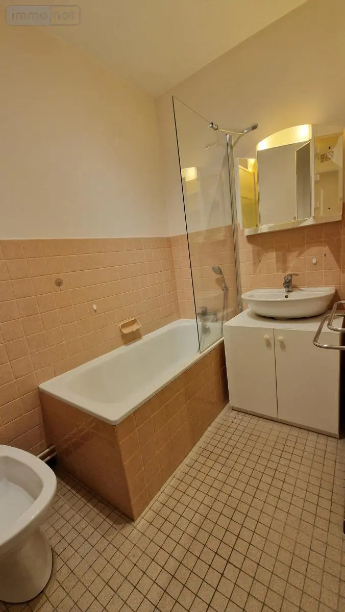 Appartement a vendre Vendôme 41100 Loir-et-Cher 41 54 m2 112400 euros 41050-2891 004