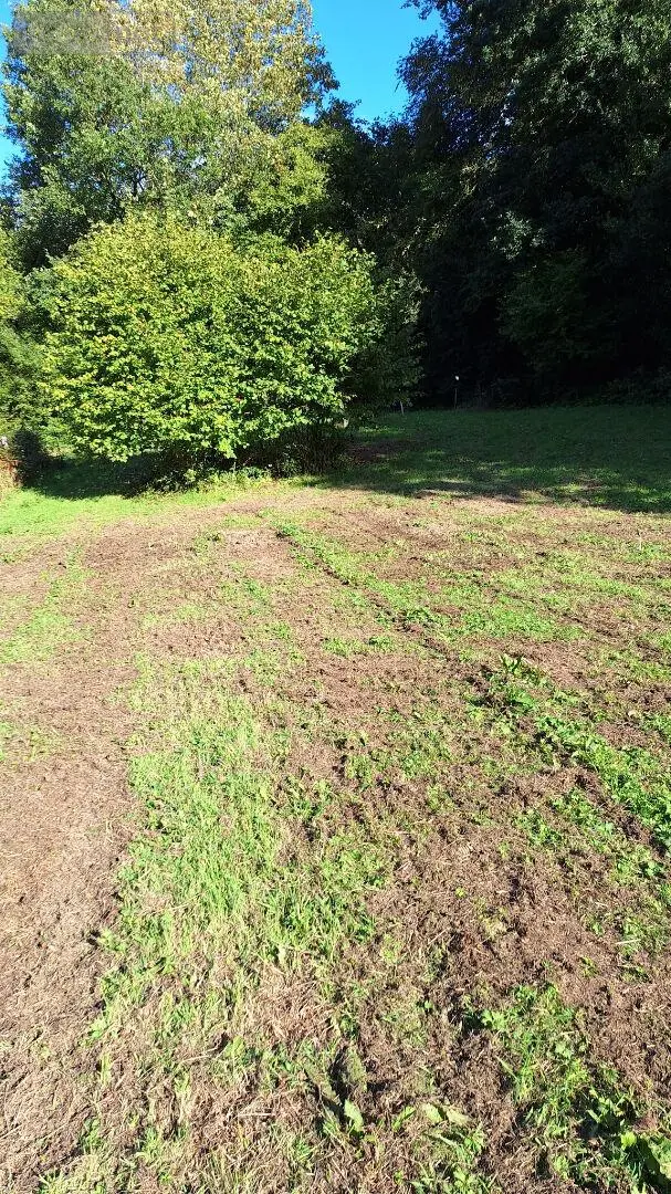 Divers a vendre Sottevast 50260 Manche 50 5760 m2 17440 euros 70 003