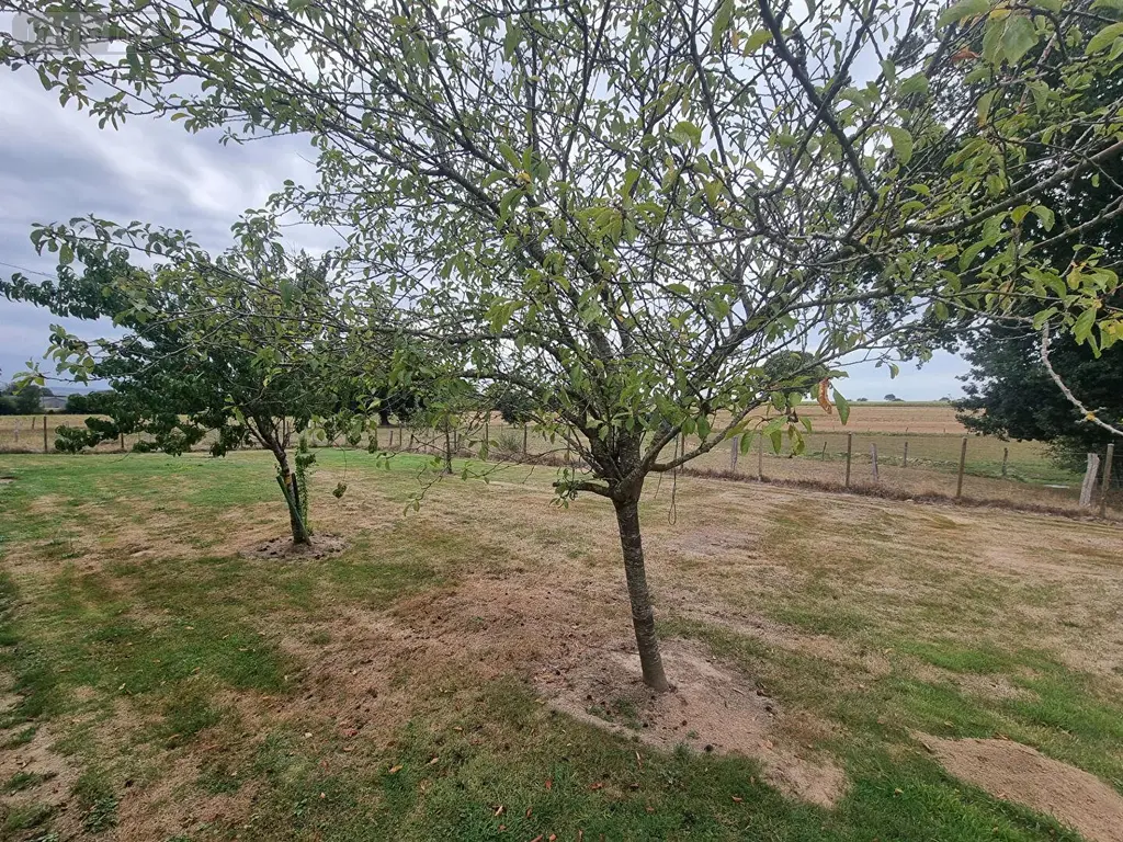 Maison a vendre Saint-Ovin 50300 Manche 50 144 m2 5 pièces 261500 euros MA641 018