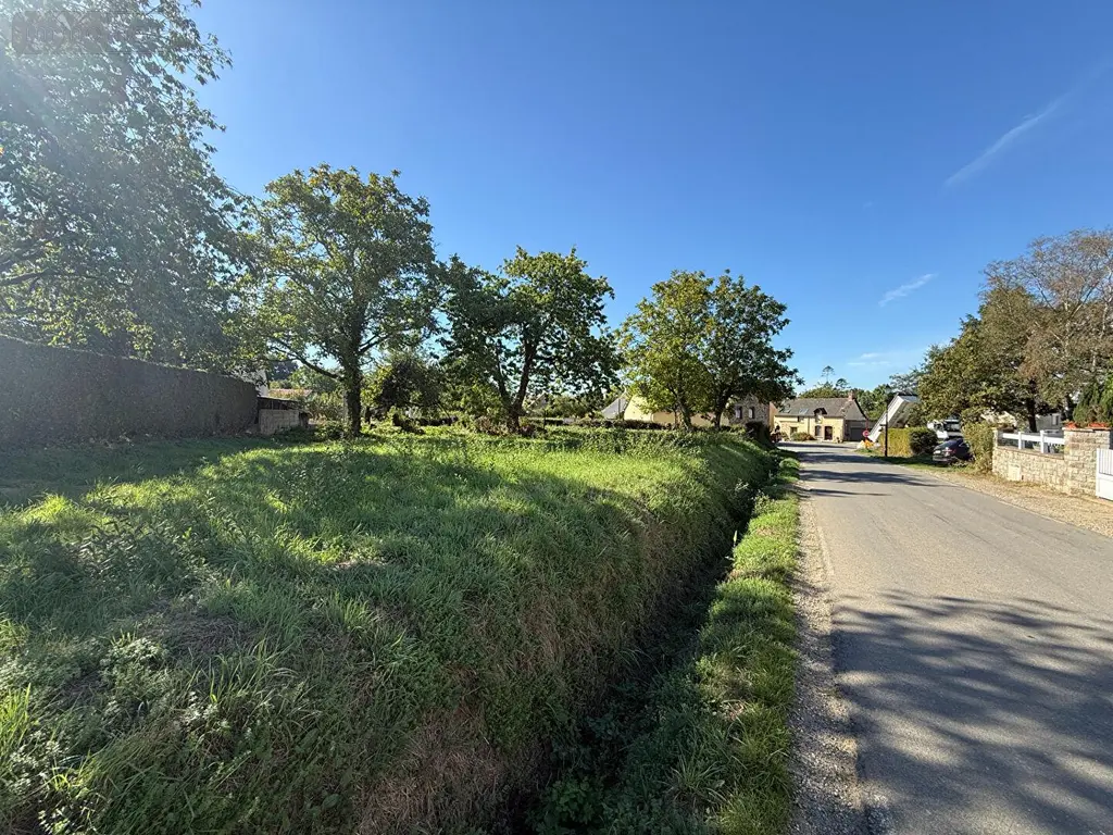 Terrain a batir a vendre Andouillé-Neuville 35250 Ille-et-Vilaine 35 350 m2 35000 euros CG1192 004