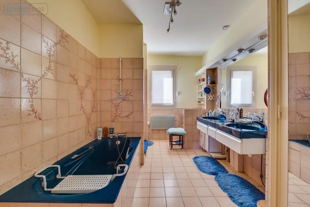 Maison a vendre Toulouse 31500 Haute-Garonne 31 160 m2 5 pièces 545480 euros 31003-54 009