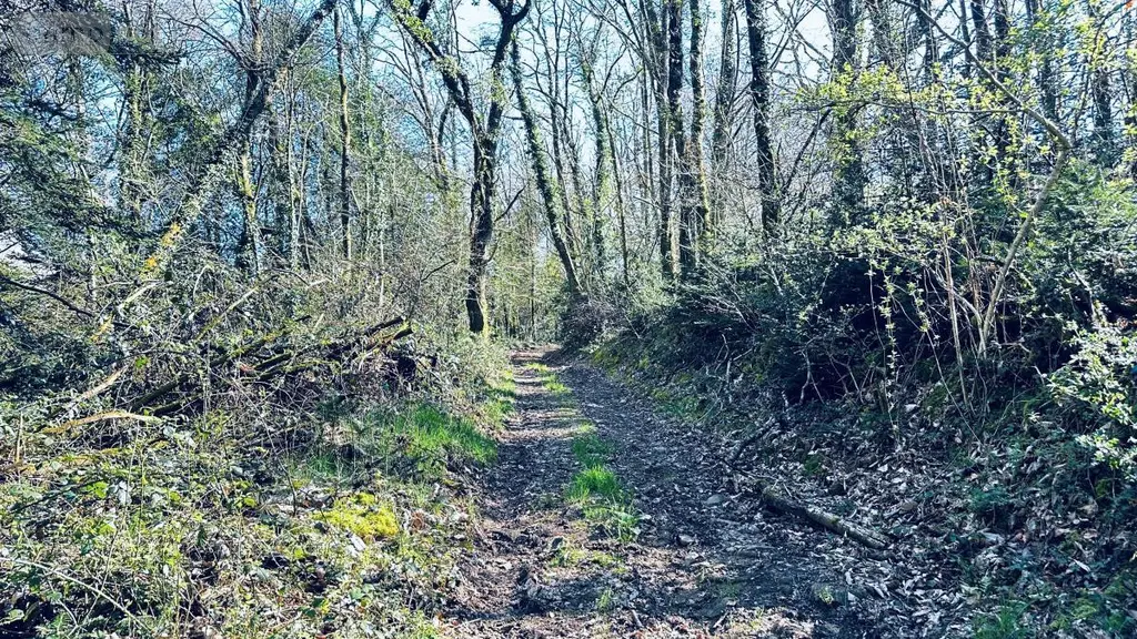 Terrains de loisirs bois etangs a vendre Guilligomarc'h 29300 Finistère 29 53600 euros 56081-2280 004