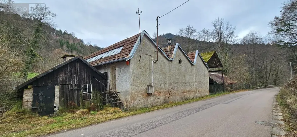 Maison a vendre Le Saulcy 88210 Vosges 88 210 m2 148400 euros 88061-817 002