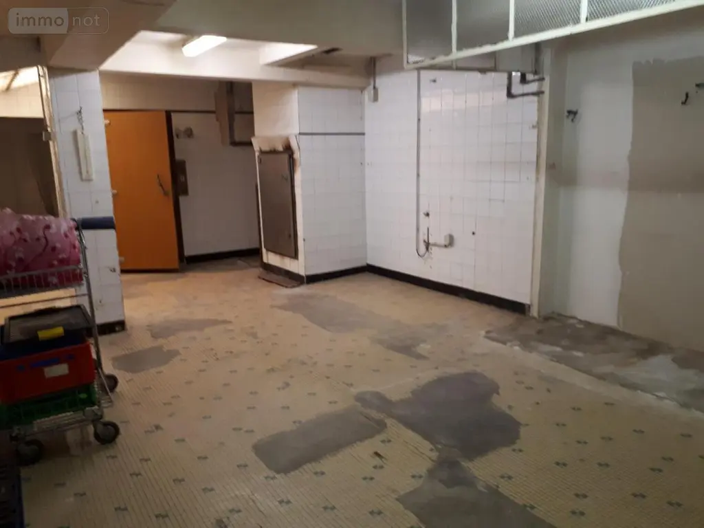 Immeuble de rapport a vendre Montoire-sur-le-Loir 41800 Loir-et-Cher 41 100 m2 99800 euros 41059-940 005