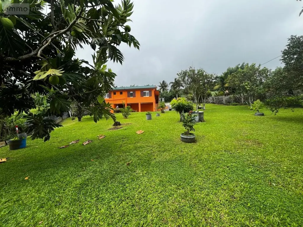 Maison a vendre Basse-Pointe 97218 Martinique 972 120 m2 315000 euros 97204-404 002