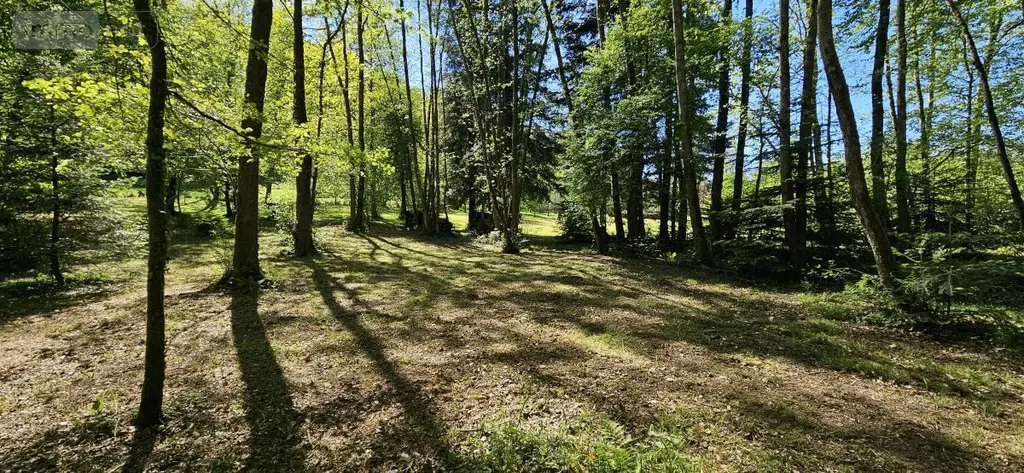 Maison a vendre Ménil-sur-Belvitte 88700 Vosges 88 300 m2 9 pièces 489000 euros 88061-851 011