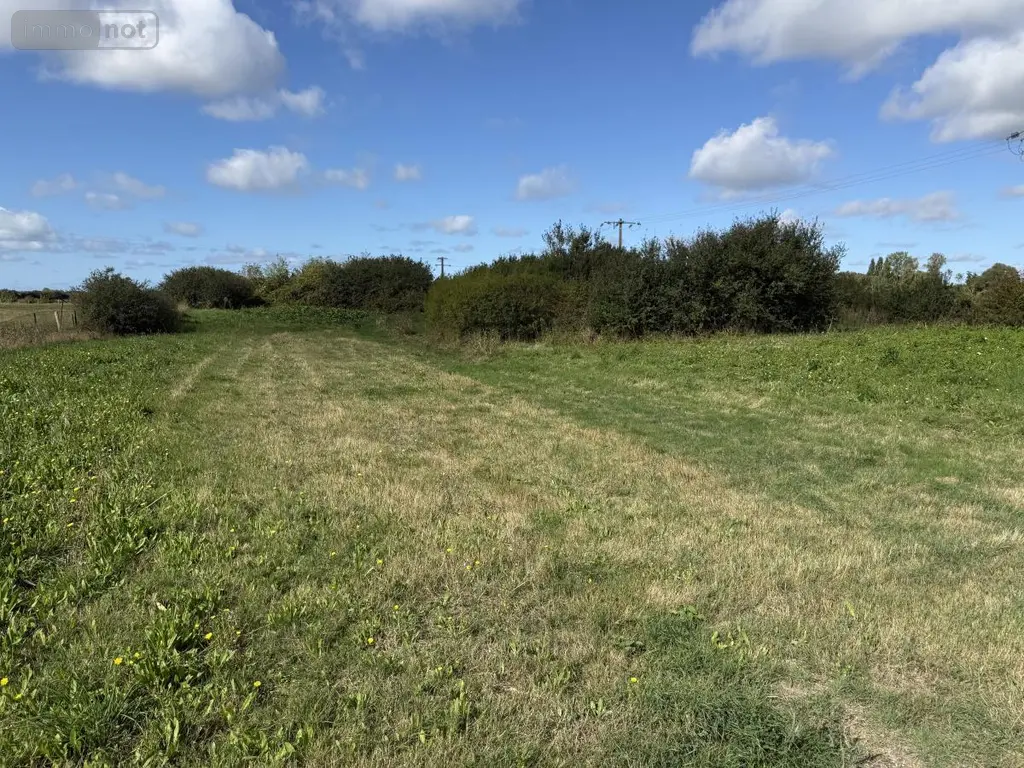 Terrains de loisirs bois etangs a vendre Rue 80120 Somme 80 188000 euros 80121-2797 011