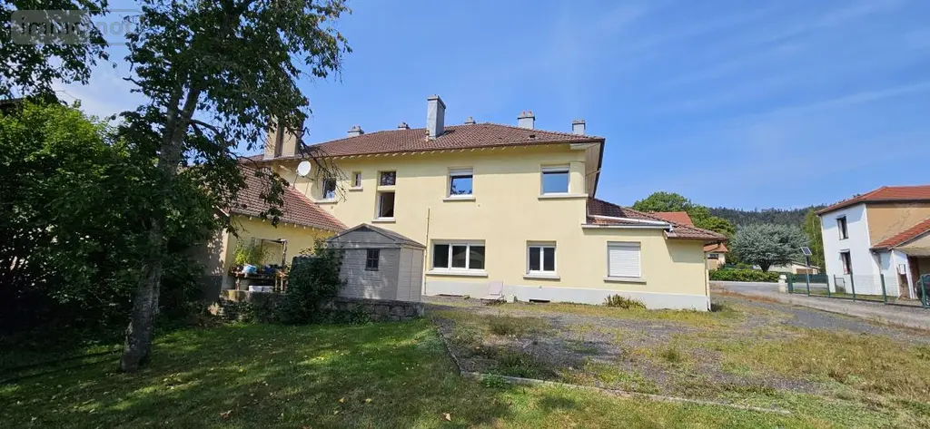 Immeuble de rapport a vendre Étival-Clairefontaine 88480 Vosges 88 277 m2 241900 euros 88061-826 002