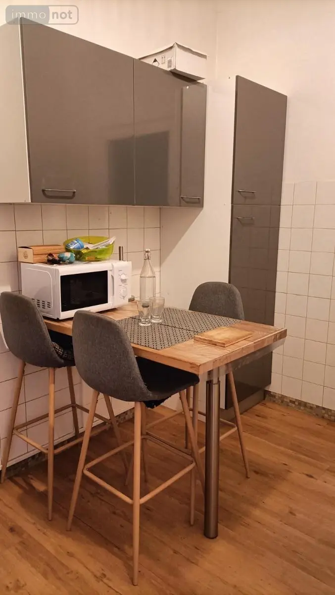 Location appartement Laval 53000 Mayenne 53 27 m2 300 euros 53007-L325 004