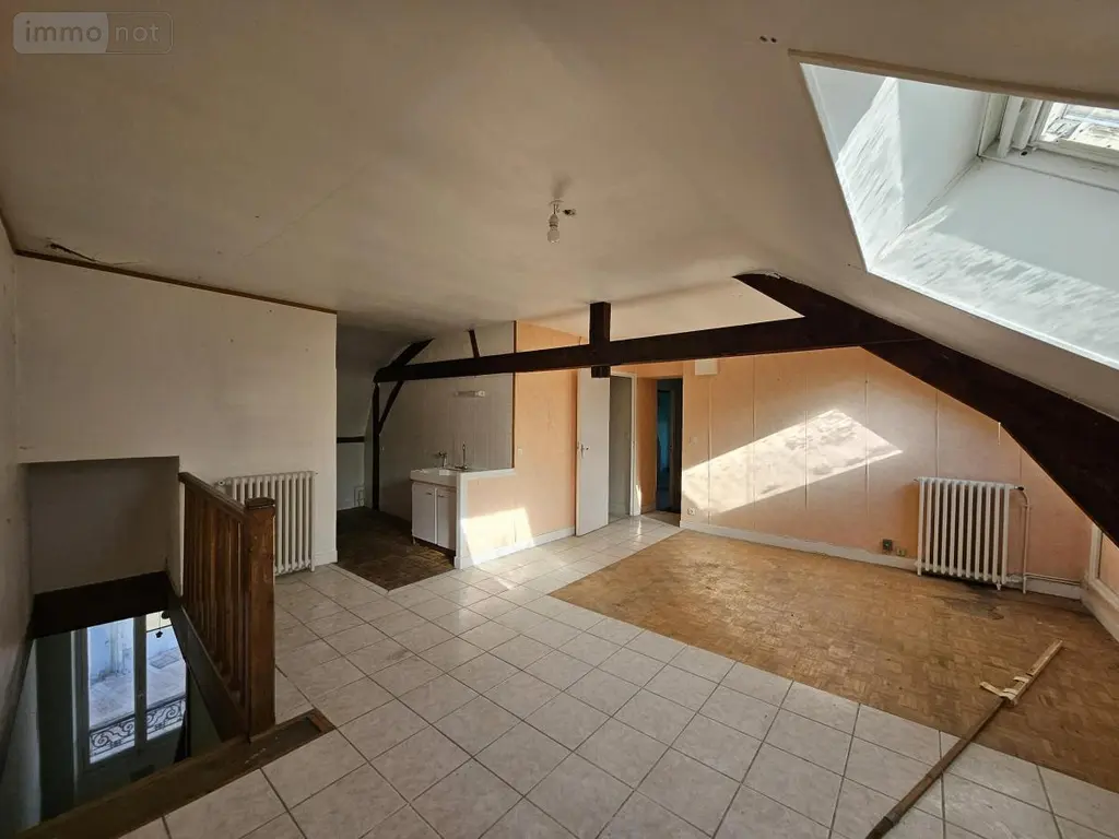 Immeuble de rapport a vendre Montargis 45200 Loiret 45 556 m2 385000 euros 45051-498 022