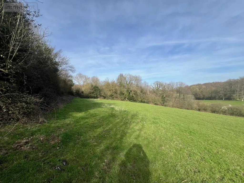 Terrains de loisirs bois etangs a vendre Sap-en-Auge 61470 Orne 61 42587 euros 14058-1500 003
