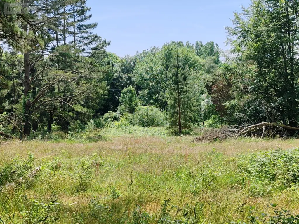 Immeuble de rapport a vendre Plounéour-Ménez 29410 Finistère 29 800 m2 263500 euros 29107-2761 004