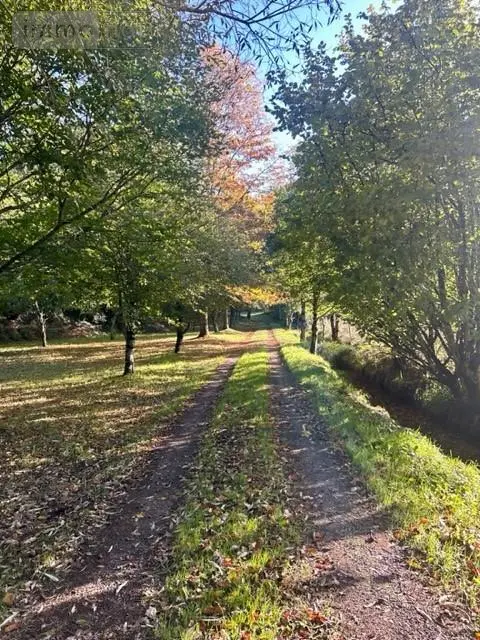 Maison a vendre Collorec 29530 Finistère 29 62 m2 2 pièces 211000 euros 29064-2886 017