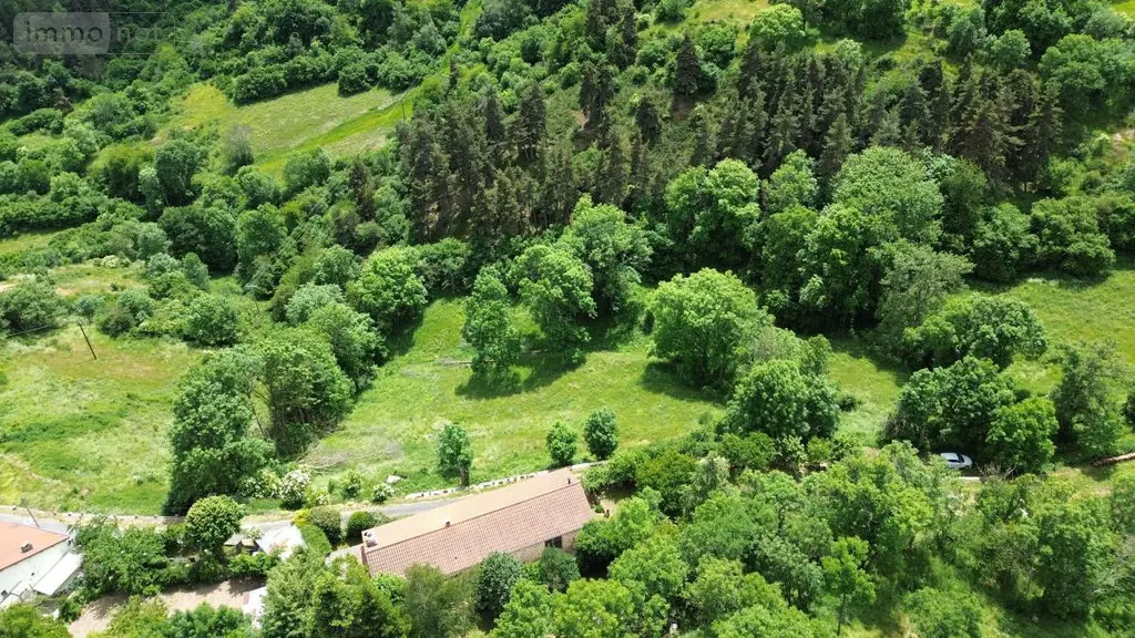 Maison a vendre Grandrieu 48600 Lozère 48 250 m2 368000 euros 48032-238 005