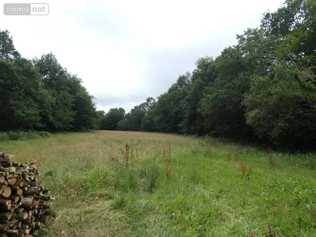 Terrain a batir a vendre Loqueffret 29530 Finistère 29 53000 euros 29129-1048 003