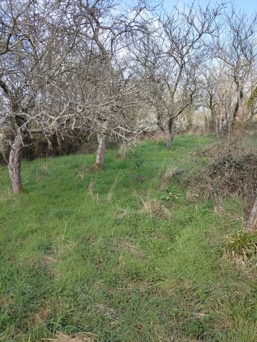 Maison a vendre Tennie 72240 Sarthe 72 60 m2 4 pièces 156840 euros 72125-60 010