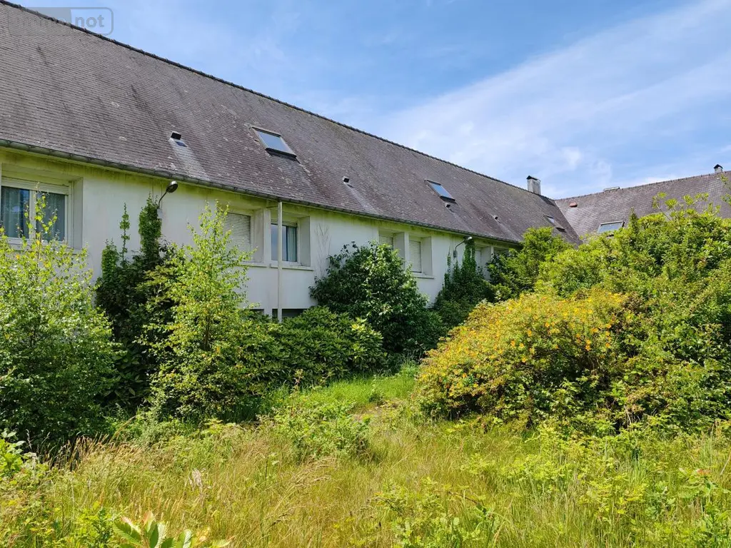 Immeuble de rapport a vendre Plounéour-Ménez 29410 Finistère 29 150 m2 63240 euros 29107-2760 002