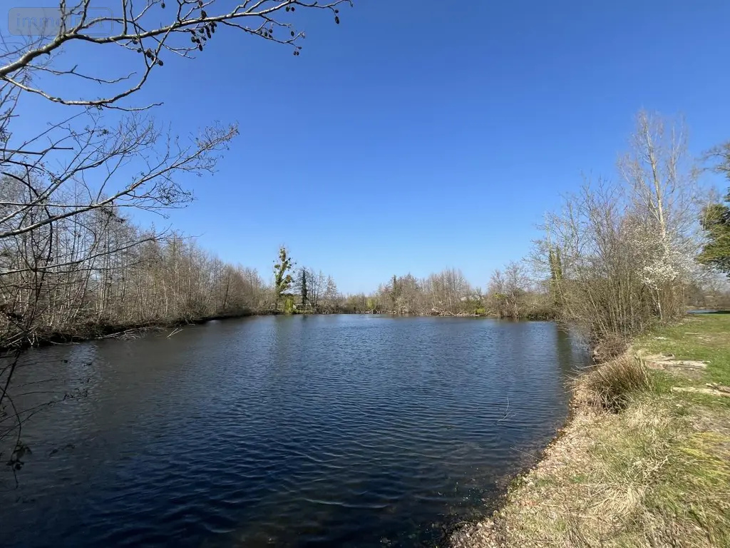 Terrains de loisirs bois etangs a vendre Connerré 72160 Sarthe 72 85000 euros 72033-426 004