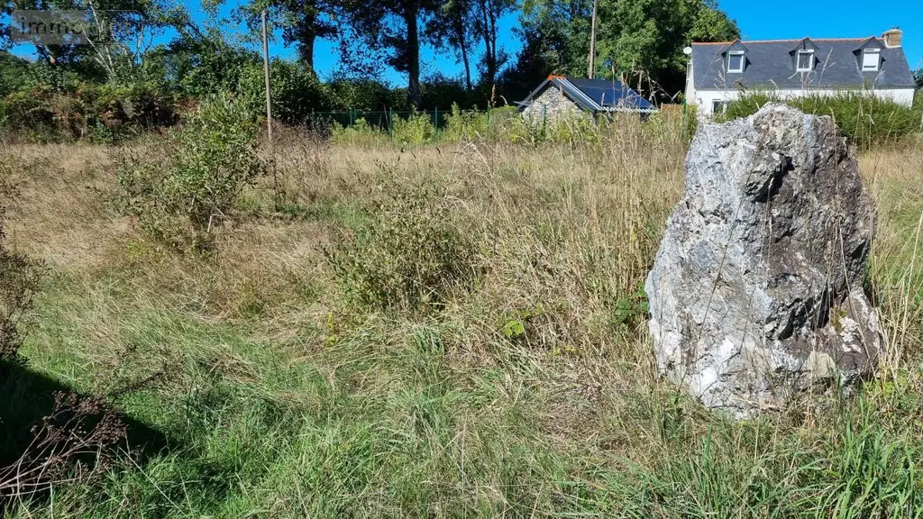 Maison a vendre Plusquellec 22160 Côtes-d'Armor 22 98 m2 3 pièces 73500 euros 29066-3908 014