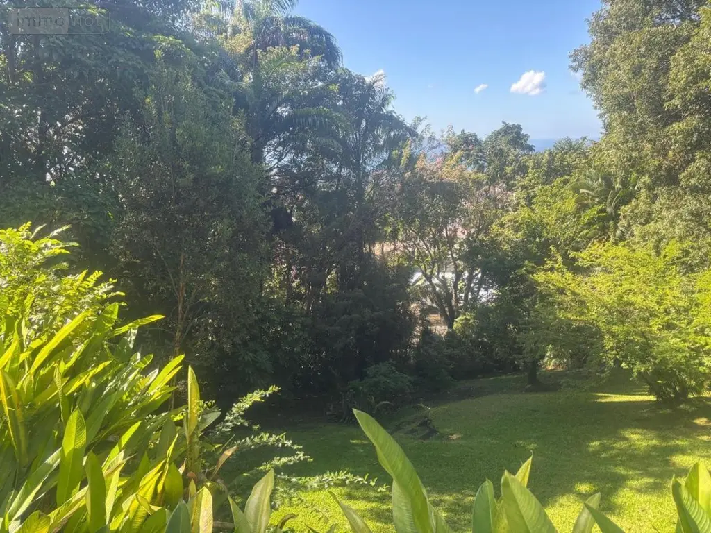 Maison a vendre Fort-de-France 97200 Martinique 972 249 m2 1050000 euros 97204-397 007
