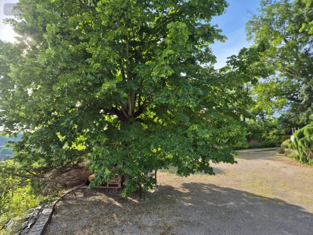 Maison a vendre Dagneux 01120 Ain 01 100 m2 5 pièces 490000 euros 01070-813 010