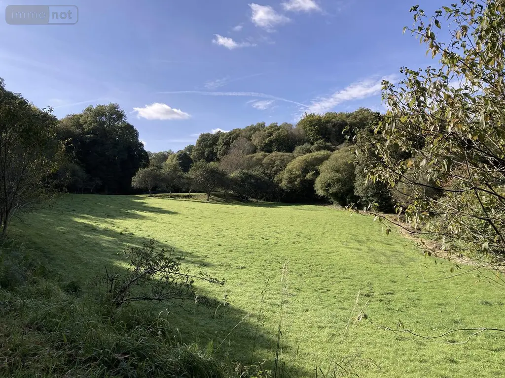 Terrains de loisirs bois etangs a vendre Melrand 56310 Morbihan 56 32400 euros 56064-1447 004
