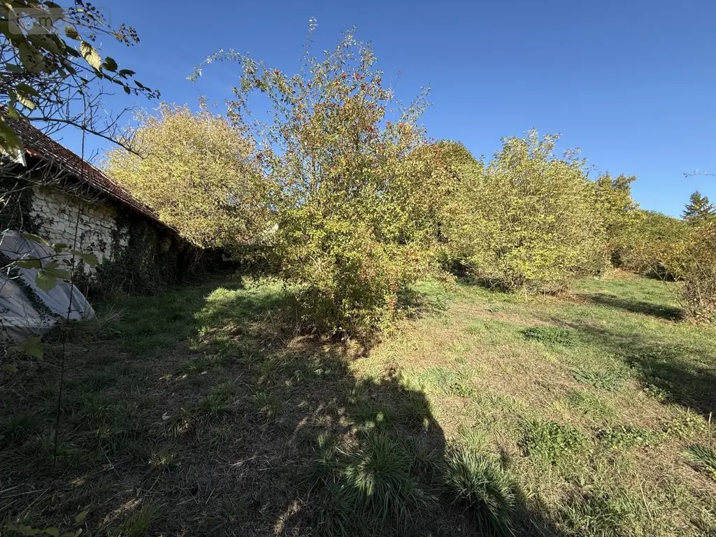 Maison a vendre Saint-Euphraise-et-Clairizet 51390 Marne 51 49 m2 3 pièces 165000 euros 51066-2124 022