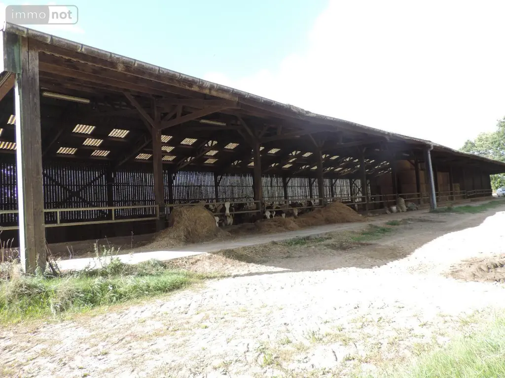 Terrains de loisirs bois etangs a vendre Maël-Pestivien 22160 Côtes-d'Armor 22 431700 euros 22069-1963 003