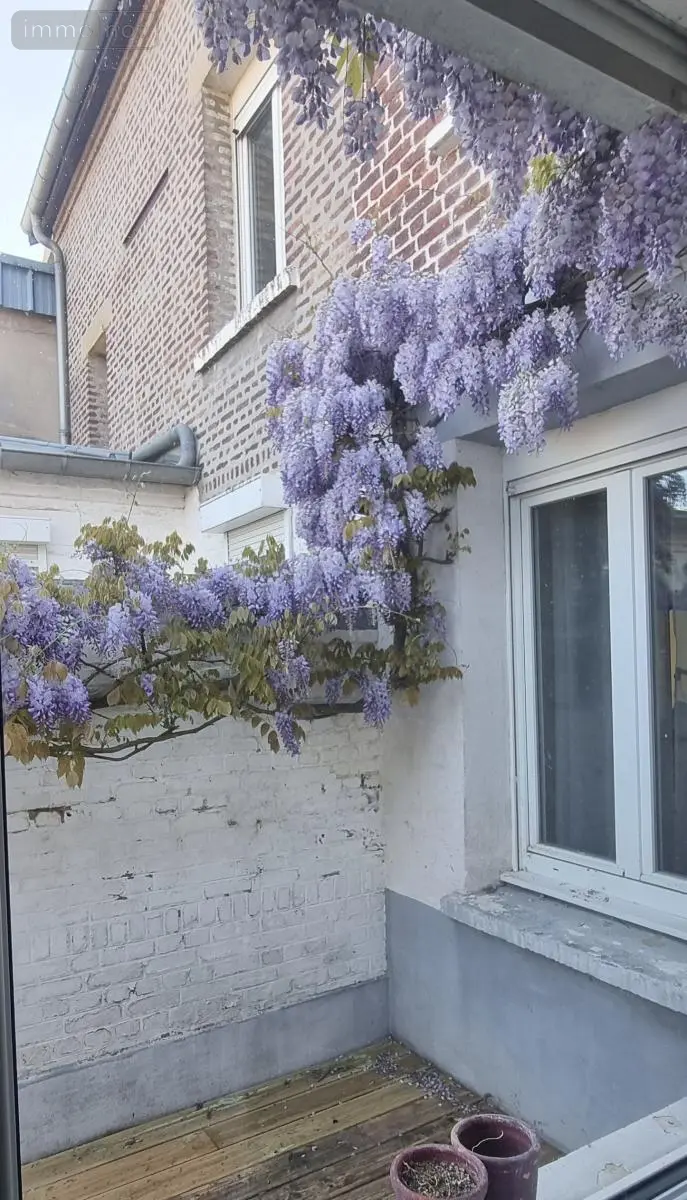 Maison a vendre Arras 62000 Pas-de-Calais 62 150 m2 5 pièces 259000 euros 62133-1480 003