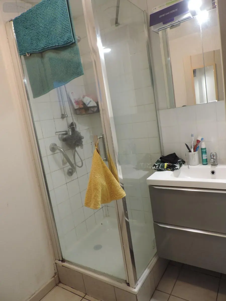 Immeuble de rapport a vendre Belle-Isle-en-Terre 22810 Côtes-d'Armor 22 181 m2 248100 euros 22069-1903 010