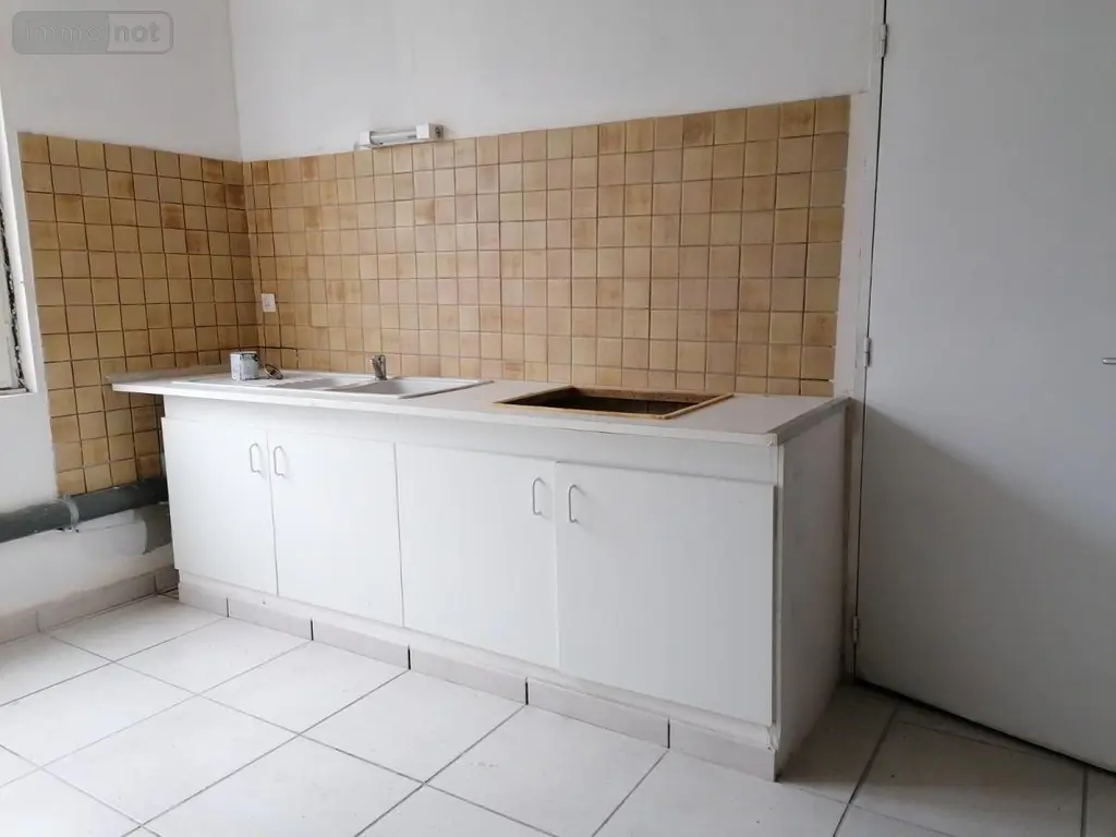 Immeuble de rapport a vendre Descartes 37160 Indre-et-Loire 37 183 m2 84000 euros 37082-252 010