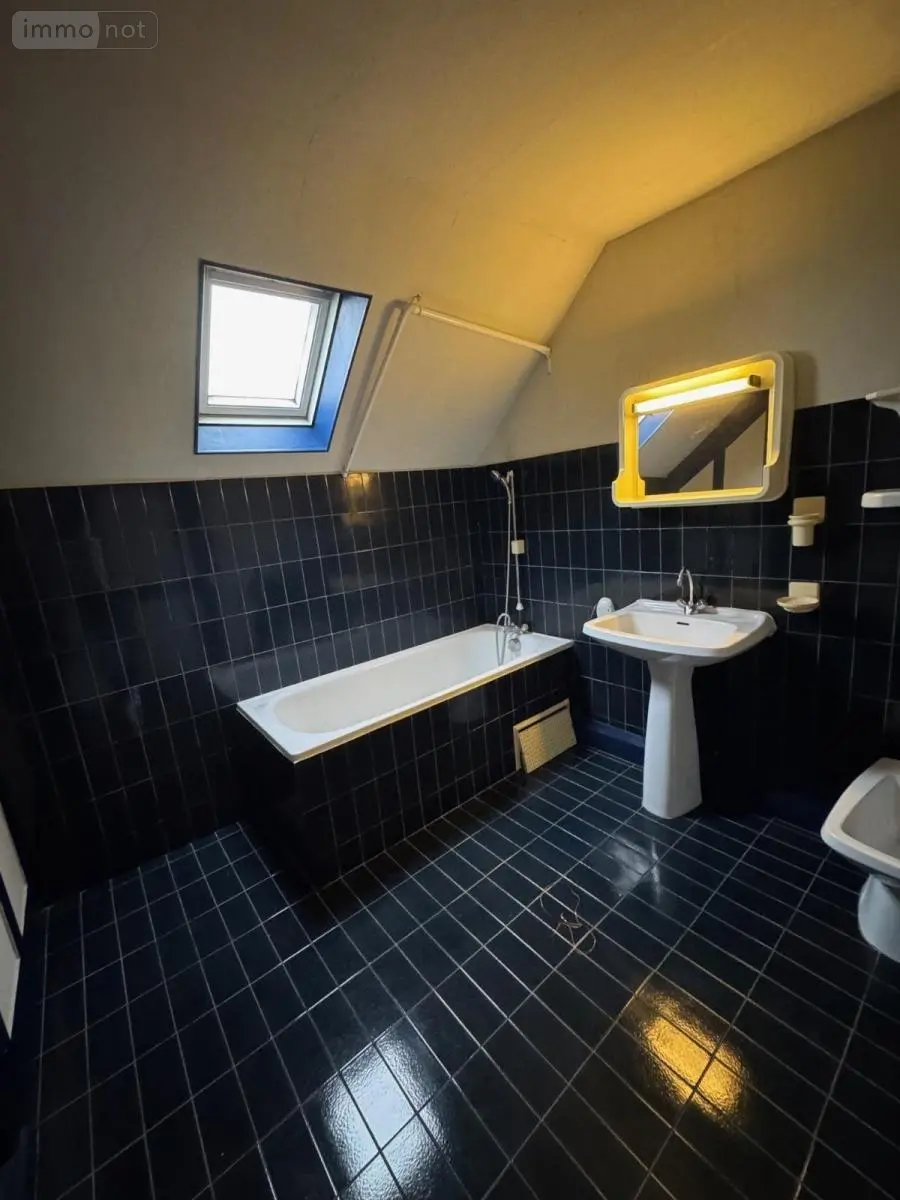 Maison a vendre Pithiviers 45300 Loiret 45 247 m2 7 pièces 187200 euros 45093-134 011