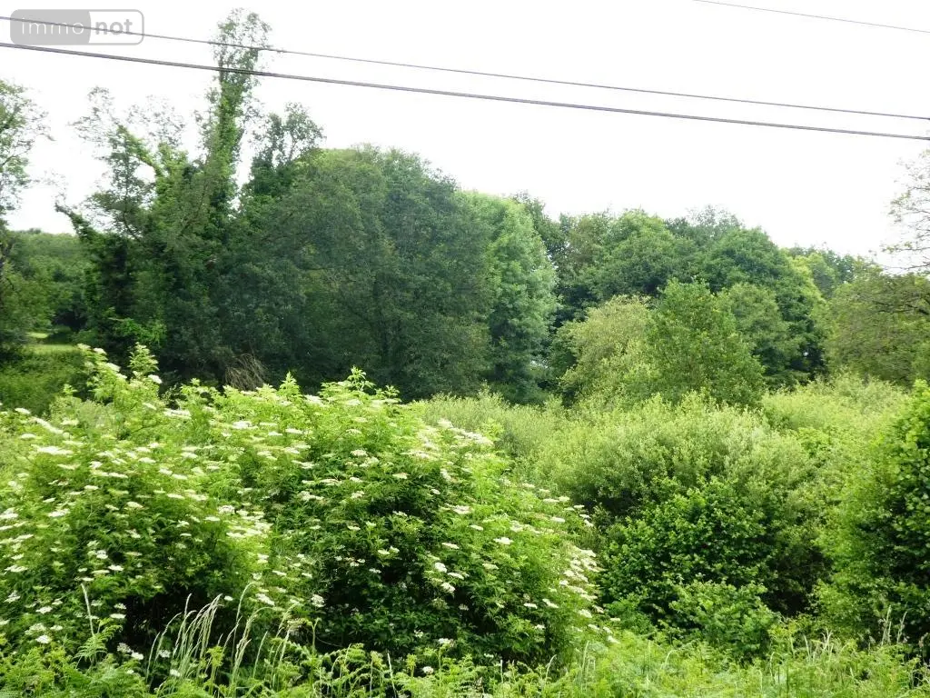 Terrains de loisirs bois etangs a vendre Plouray 56770 Morbihan 56 15990 euros 56075-2387 008