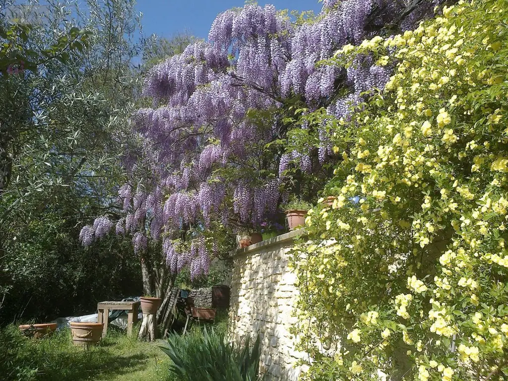 Viager maison Forcalquier 04300 Alpes-de-Haute-Provence 04 109 m2 5 pièces 120000 euros 04022-127 003