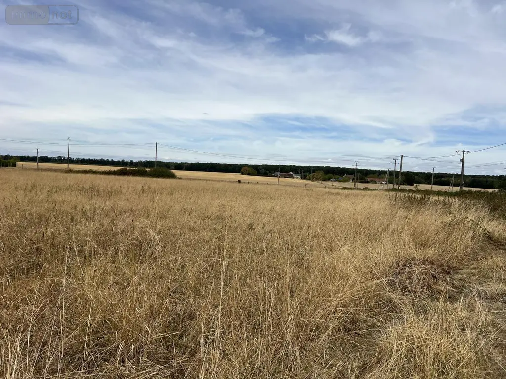 Maison a vendre Vievy-le-Rayé 41290 Loir-et-Cher 41 62 m2 2 pièces 84800 euros 41029-65 014