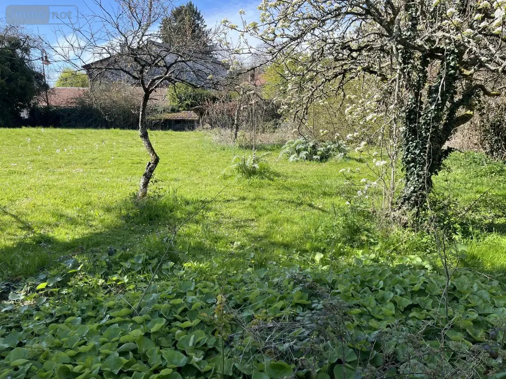 Terrain a batir a vendre Châtillon-la-Palud 01320 Ain 01 95000 euros 01067-1010 002