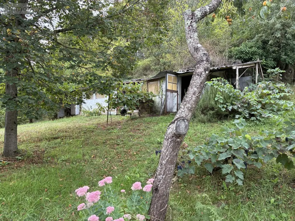 Maison a vendre Saint-Affrique 12400 Aveyron 12 150 m2 5 pièces 290000 euros 12051-5 009