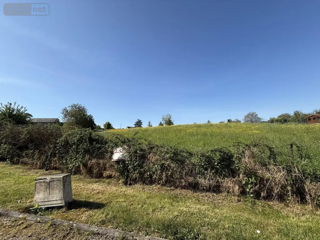 Terrain a batir a vendre Faissault 08270 Ardennes 08 32000 euros 51066-1981 006