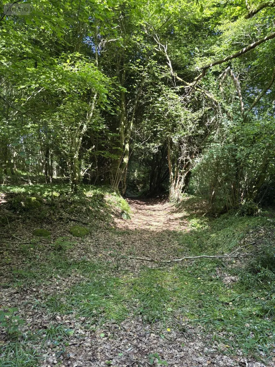 Terrains de loisirs bois etangs a vendre Noues de Sienne 14380 Calvados 14 168800 euros 14076-5956 012