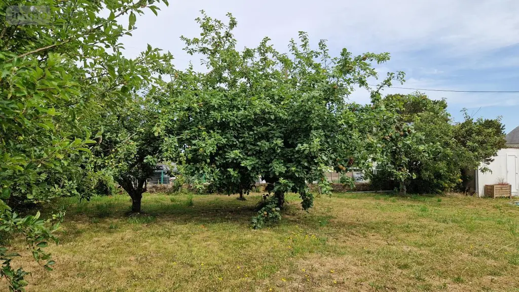 Maison a vendre Plouezoc'h 29252 Finistère 29 87 m2 5 pièces 178670 euros 29083-1656 016