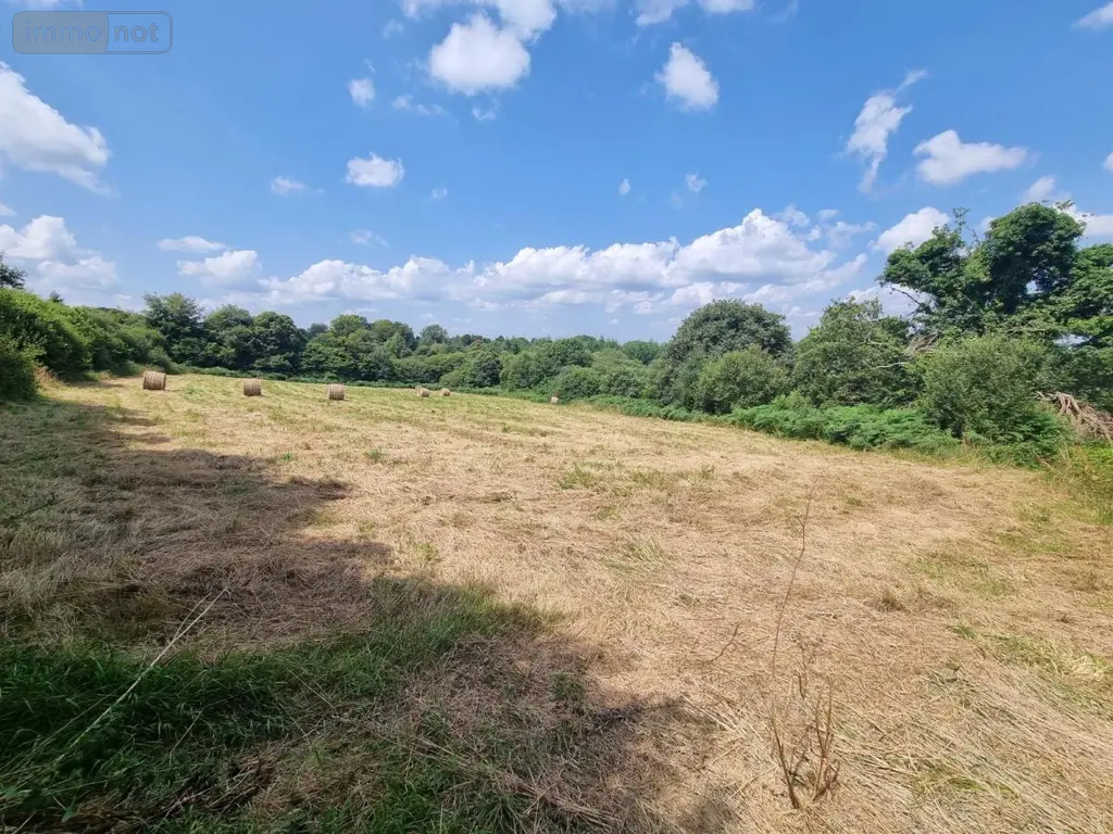 Terrains de loisirs bois etangs a vendre Plouray 56770 Morbihan 56 17500 euros 29066-3770 002