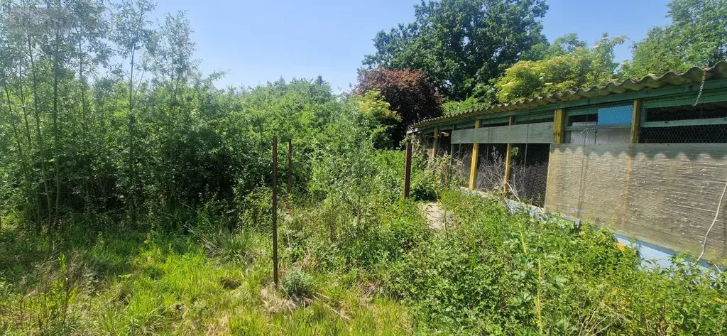 Maison a vendre Fromelles 59249 Nord 59 100 m2 194550 euros 59032-3741 004