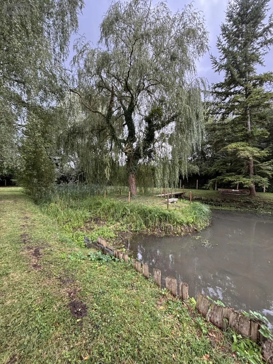 Terrains de loisirs bois etangs a vendre Le Grand-Lucé 72150 Sarthe 72 37000 euros 72085-2238 009