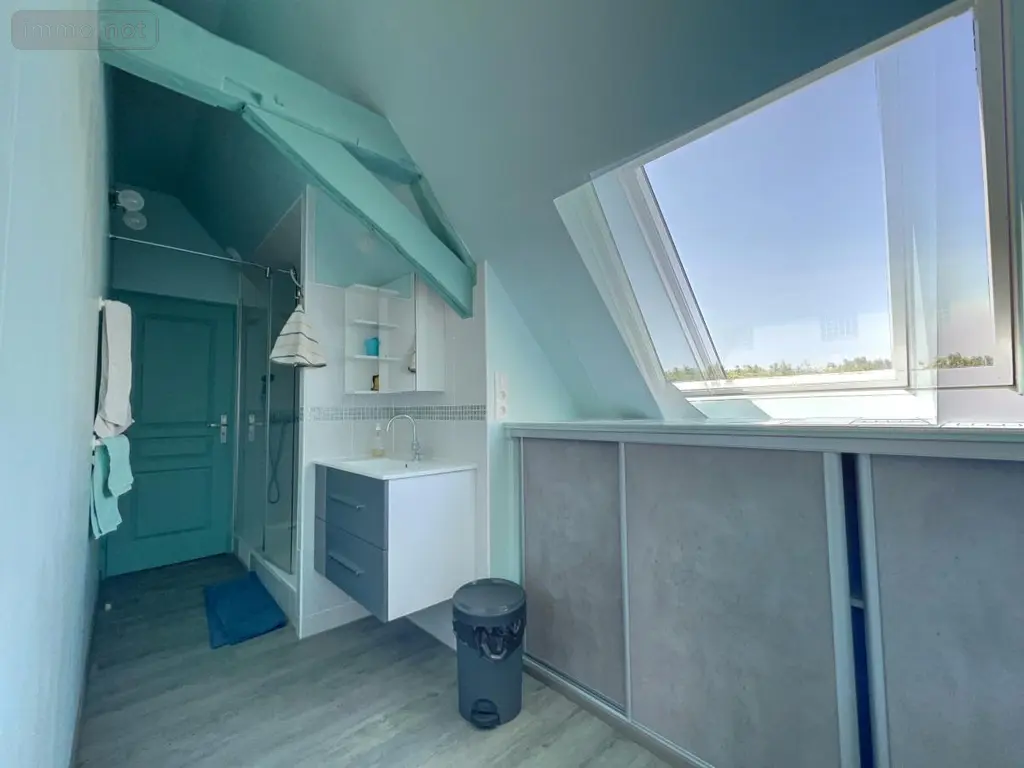 Maison a vendre Savonnières 37510 Indre-et-Loire 37 225 m2 10 pièces 825000 euros 37096-18 008