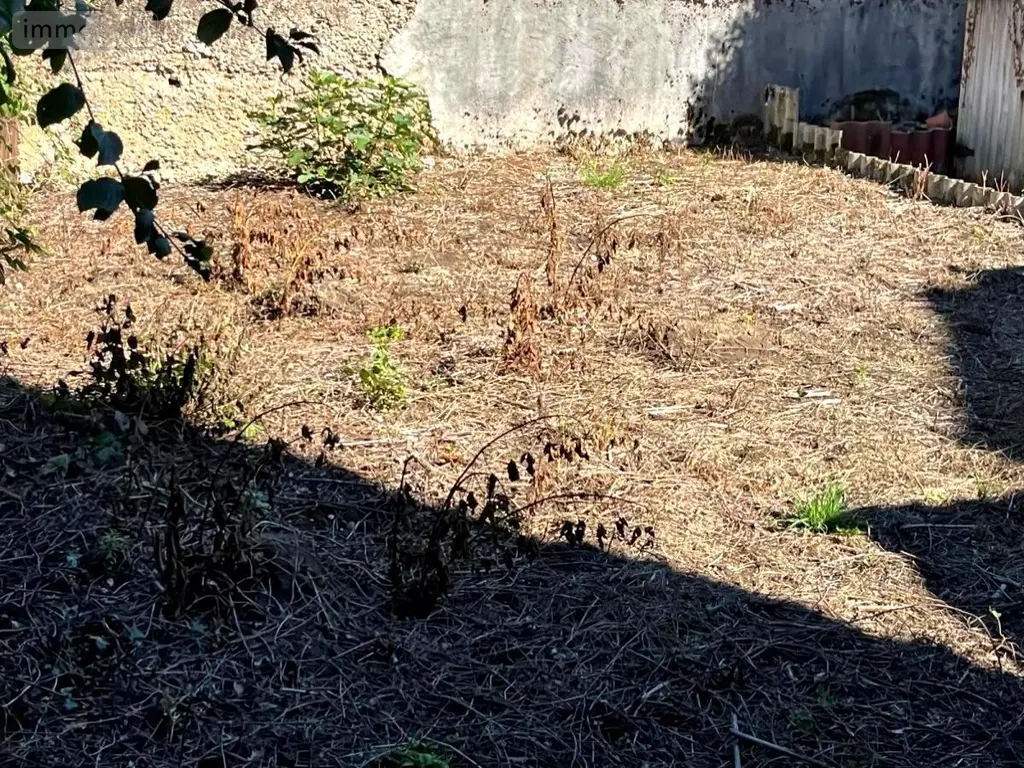 Maison a vendre Meximieux 01800 Ain 01 78 m2 3 pièces 170000 euros 01067-925 015